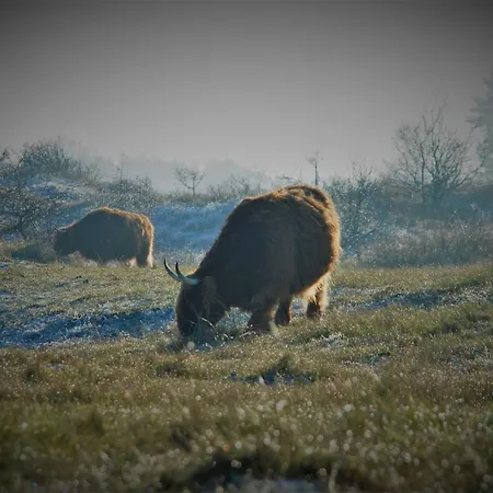 בית הארחה Gina's Garden House 3*