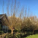 Gina's Garden House 3*