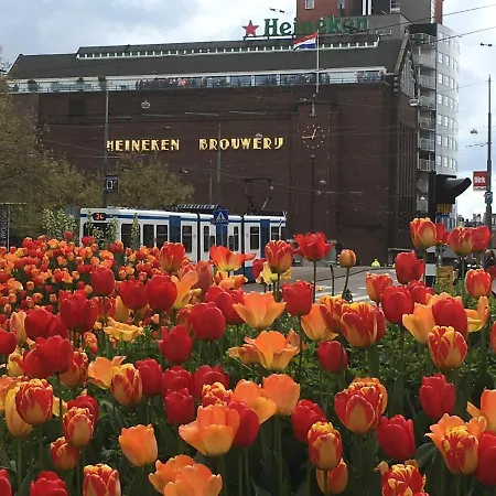 Gina's Garden House Maison d'hôtes