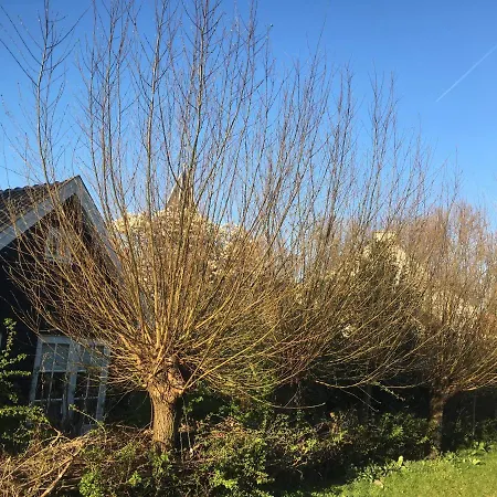 Gina's Garden House *