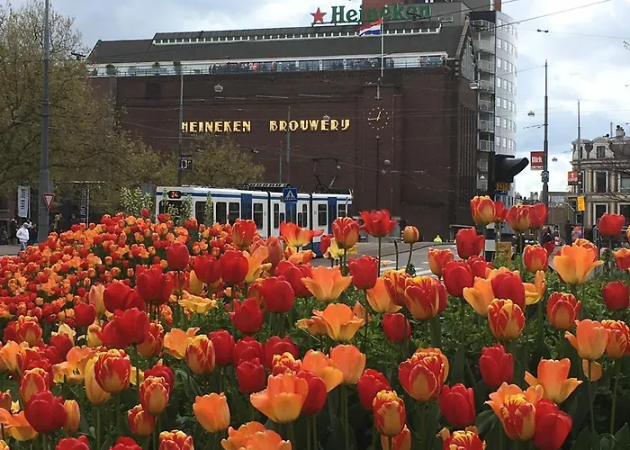 Gina's Garden House Pensión