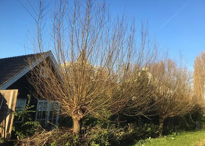 Gina's Garden House 3*