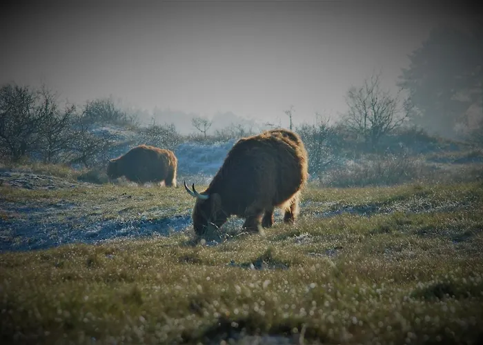 Pensión Gina's Garden House 3*