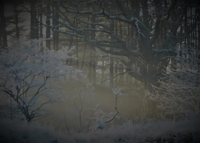 Gina's Garden House Pensión Ámsterdam