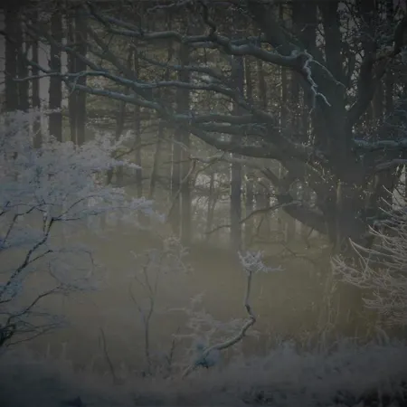 Gina's Garden House Casa de Férias Amesterdão